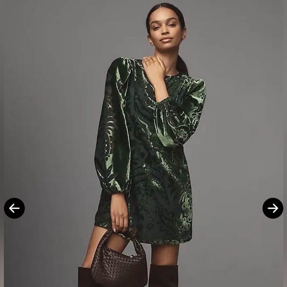 FARM Rio Dresses & Skirts - Farm Rio x Anthropologie Long-Sleeve Burnout Velvet Mini Dress, NWOT, size S